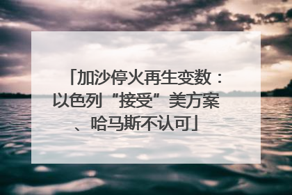 加沙停火再生变数：以色列“接受”美方案、哈马斯不认可